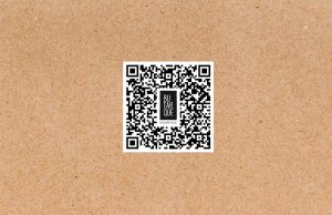 El juego del Calamar Neflix Serie